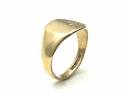 9ct Yellow Gold Signet Ring