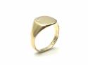 9ct Yellow Gold Signet Ring