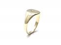 9ct Yellow Gold Signet Ring