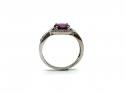 9ct White Gold Garnet & Diamond Ring