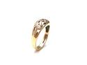 9ct 2 Colour Diamond Leaf Band Ring