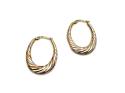 9ct 3 Colour Oval Hoop Earrings