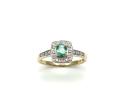 9ct Yellow Gold Emerald & Diamond Halo Ring