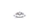 18ct White Gold Diamond Solitaire