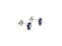 Silver Blue & White CZ Flower Stud Earrings