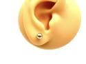 9ct Yellow Gold Ball Stud Earrings 5mm