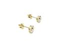 9ct Yellow Gold CZ Stud Earrings 5mm