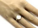 9ct Yellow Gold Signet Ring