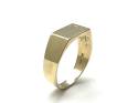 9ct Yellow Gold Signet Ring