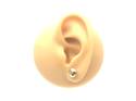 9ct Yellow Gold Button Stud Earrings