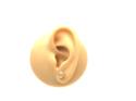 18ct Domed Patterned Stud Earrings