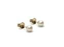 9ct Yellow Gold Fresh Water Pearl Studs 4mm