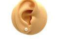 9ct Yellow Gold Fresh Water Pearl Studs 5mm