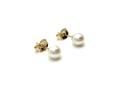 9ct Yellow Gold Fresh Water Pearl Studs 5mm