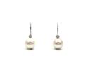 18ct White Gold FW Pearl & Diamond Drop Earrings