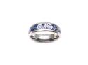 Tungsten Carbide Cogs & Blue IP Plating Ring