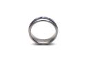 Tungsten Carbide Cogs & Blue IP Plating Ring