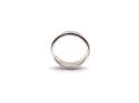 Silver Plain Band Spinner Ring