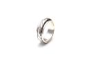 Silver Twist Spinner Ring