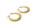 9ct Yellow Gold Fancy Hoop Earrings