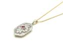 9ct Yellow Gold Ruby & Diamond Pendant & Chain