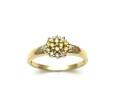 9ct Yellow Treated Diamond Ring