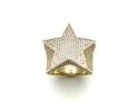 9ct Yellow Gold CZ Star Ring