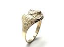 9ct Yellow Gold Horse Head/Horse Shoe Ring