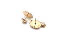 9ct 2 Colour Gold Diamond Earrings