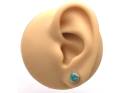 Silver Turquoise Stud Earrings