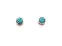 Silver Turquoise Stud Earrings