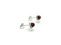 Silver Amber Scallop Shell Stud Earrings