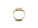 9ct Yellow Gold Diamond Signet Ring