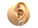 9ct Yellow Gold Pearl Stud Earrings