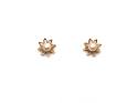 9ct Yellow Gold Pearl Flower Studs