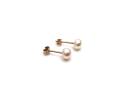 9ct Yellow Gold Pearl Stud Earrings