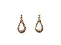 9ct Yellow Gold Pearl Drop Earrings