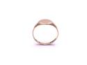 9ct Yellow Gold Small Signet Ring