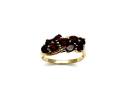 9ct Yellow Gold Garnet Cluster Ring