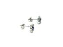 Silver Blue & White CZ Flower Stud Earrings