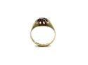 9ct Yellow Gold Garnet Solitaire Ring