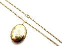 9ct Yellow Gold Oval Locket & Chain