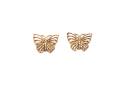 9ct Yellow Gold Butterfly Studs