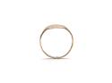 9ct Yellow Gold Oval Signet Ring M