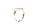 9ct Yellow Gold Oval Signet Ring M