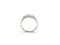 9ct Yellow Gold Diamond Signet Ring