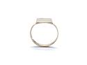 9ct Yellow Gold Plain Signet Ring