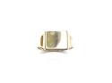 9ct Yellow Gold Plain Signet Ring