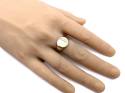 9ct Yellow Gold Round Signet Ring