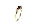 9ct Yellow Gold Garnet & Diamond Ring